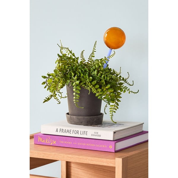 Modro-rjava steklena krogla za zalivanje Flora - Hübsch-image-3