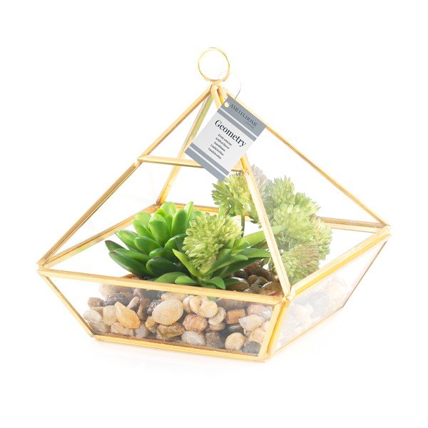 Umeten sukulent (višina 15,5 cm) Geometry – AmeliaHome