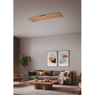 LED zatemnitvena stropna svetilka v črni in naravni barvi 6x114 cm Fontana – Trio