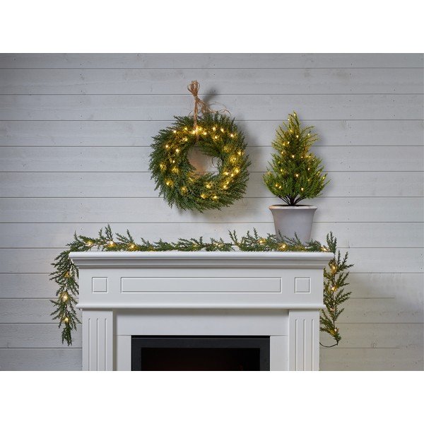 Svetlobni venec Thuja - Star Trading-image-1