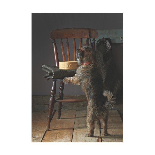 Lončena posoda za pse Mason Cash Dog Cane, ø 25 cm-image-4