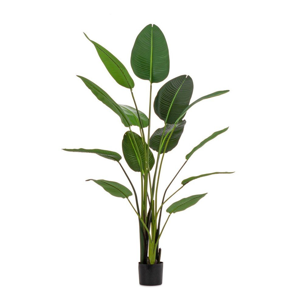 Umetna rastlina (višina 185 cm) Sterilizia