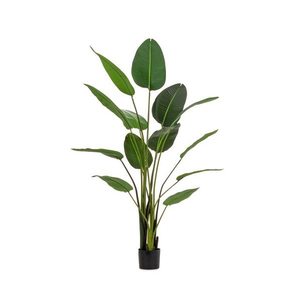 Umetna rastlina (višina 185 cm) Sterilizia – Bizzotto