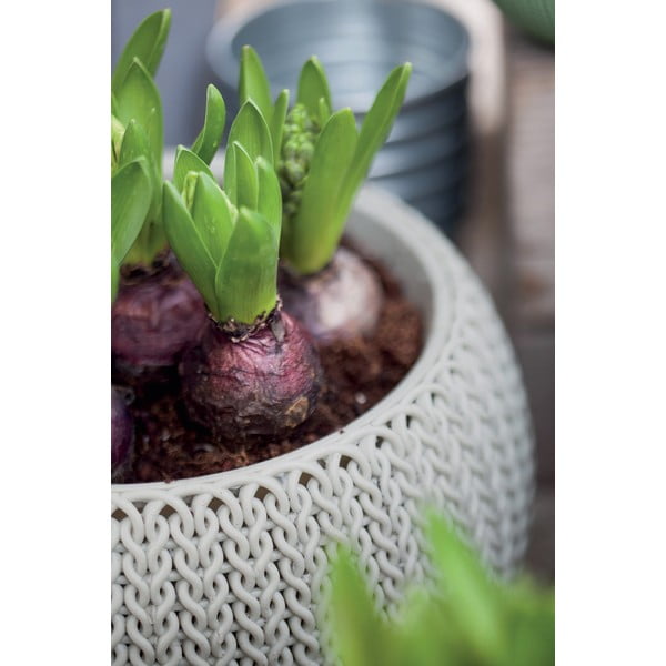 Plastičen viseči cvetlični lonec ø 36 cm Cozy – Keter-image-1