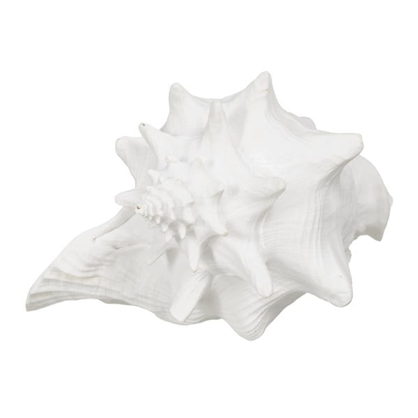 Kipec iz poliresina (višina 13 cm) Seashell – Ixia
