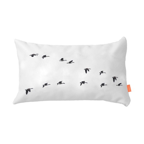 Komplet 2 bombažnih prevlek za vzglavnike Blanc Trip-image-4