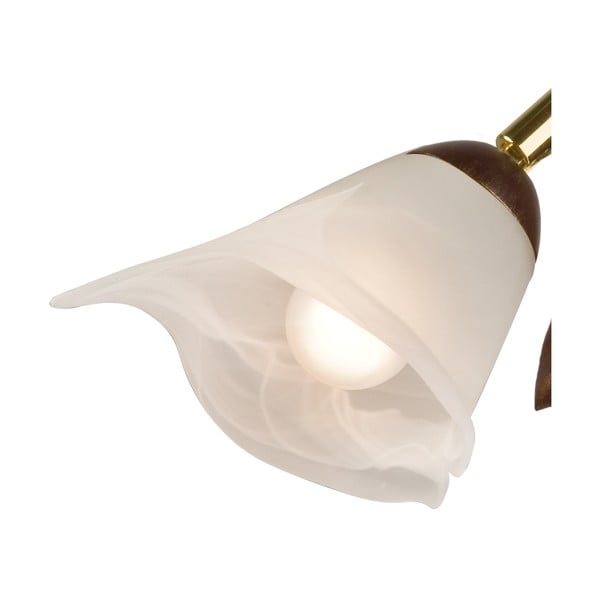 Temno rjava namizna svetilka s steklenim senčnikom (višina 40 cm) Bluszcz – LAMKUR-image-4