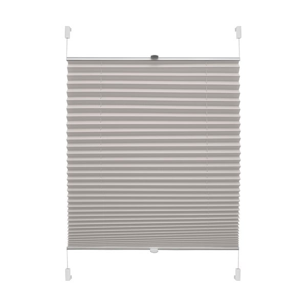 Siv rolo 57x150 cm Plisé Verona – Gardinia