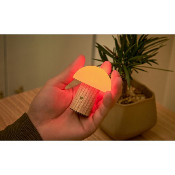 LED zatemnitvena namizna svetilka iz masivnega jesena v naravni barvi (višina 7 cm) Alice – Gingko-image-4