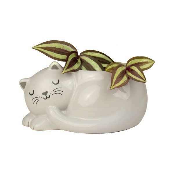 Keramičen okrasni cvetlični lonec Sleeping Cat – Sass & Belle-image-1