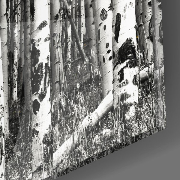 Steklena slika Insigne Yellow Woods, 110 x 70 cm-image-2