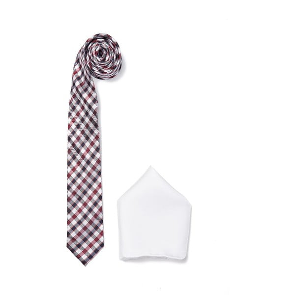 Komplet kravate in robčka Ferruccio Laconi 12