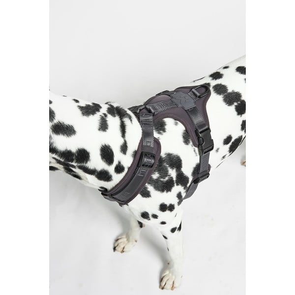 Temno siva oprsnica velikosti L dolžina 42 cm Modena Asphalt L – MiaCara-image-3