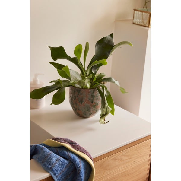 Keramični ročno izdelani podstavki za cvetlične lonce v kompletu 2 ks ø 15 cm Normu – Hübsch-image-3