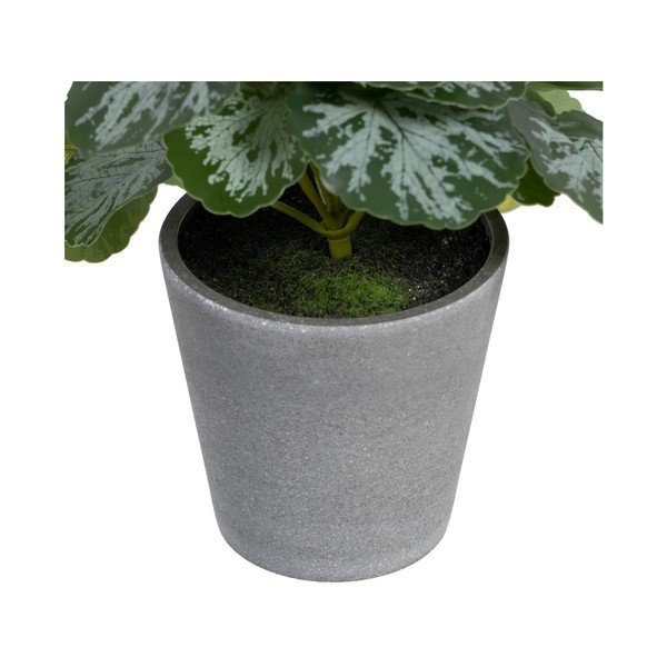 Umetna rastlina (višina 21,5 cm) Saxifraga – Ixia-image-2