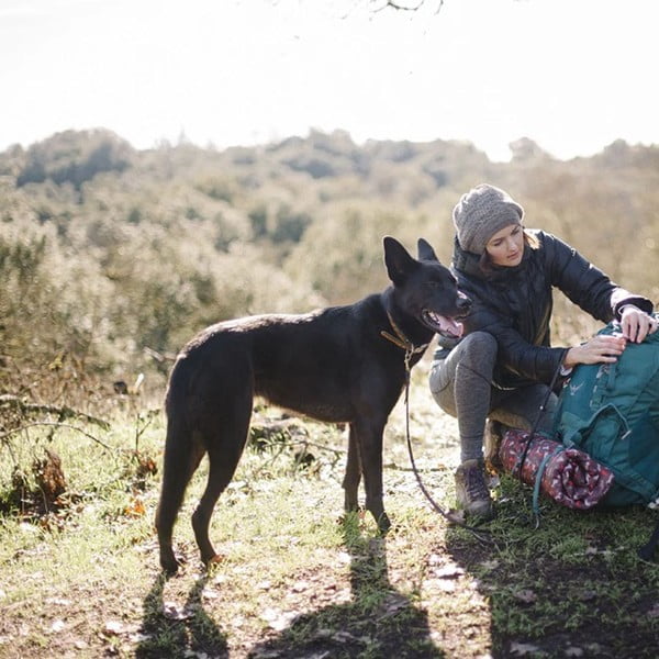 Rjavo potovalno ležišče za pse 50x75 cm Outdoor Chill Pad Mocha M – P.L.A.Y.-image-2