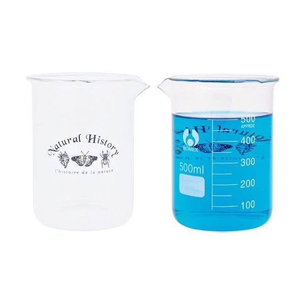 Steklena vaza (višina 12 cm) Natural History – Esschert Design-image-4