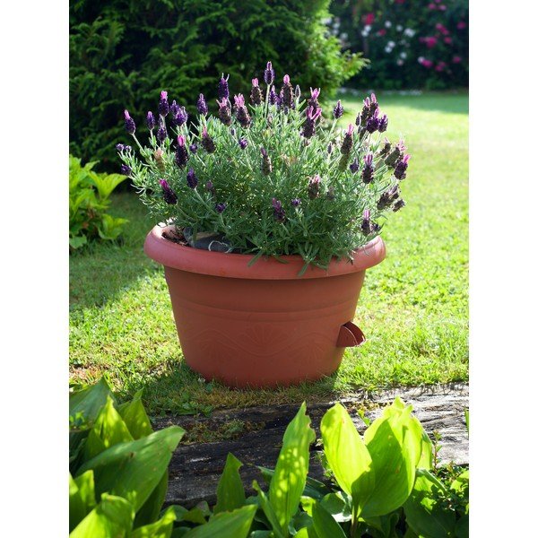 Rjav samozalivalni cvetlični lonček Plastia Siesta, ø 25 cm-image-1