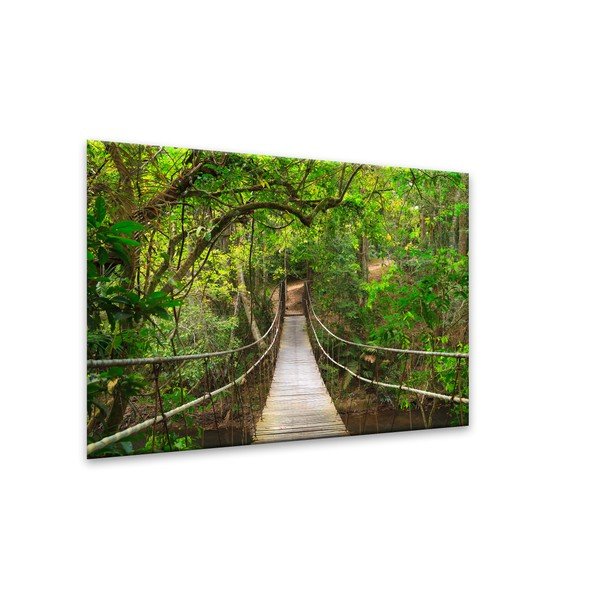 Styler Glas Nature Forest Most, 80 x 120 cm-image-1