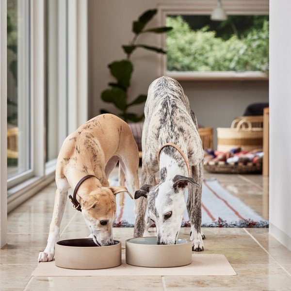 Keramična posoda za hrano za pse ø 17 cm Sia – OYOY Living Design-image-3