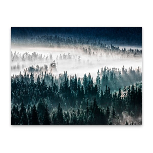Slika Styler Glasspik Misty Forest, 80 x 120 cm