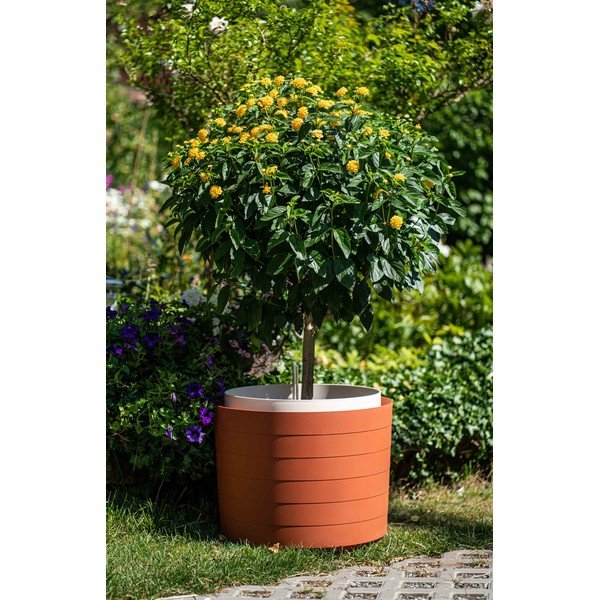 Ravo-rdeč samozalivalni cvetlični lonček Plastia Berberis, ø 55 cm-image-1