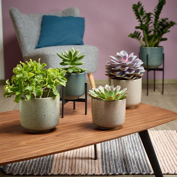 Bež keramičen cvetlični lonec Big pots Bari, ø 13 cm-image-1