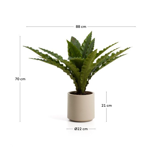 Umetni sukulent (višina 70 cm) Neottopteris – Kave Home-image-4