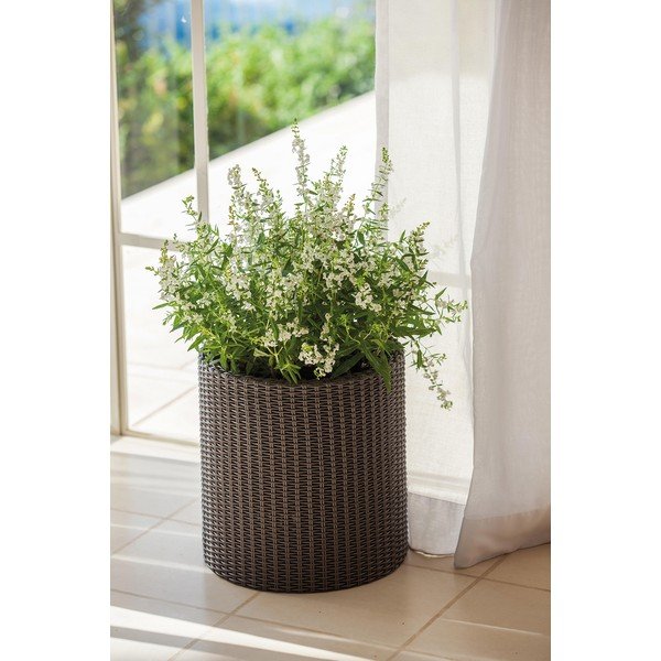 Plastičen cvetlični lonec ø 28 cm Cylinder – Keter-image-1