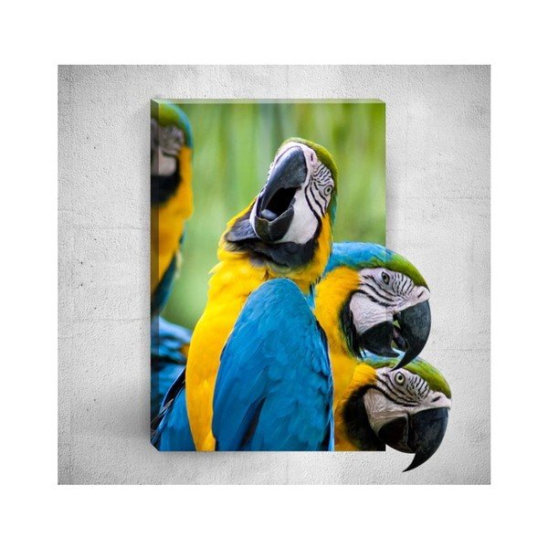 3D stenska slika Mosticx Papige, 40 x 60 cm