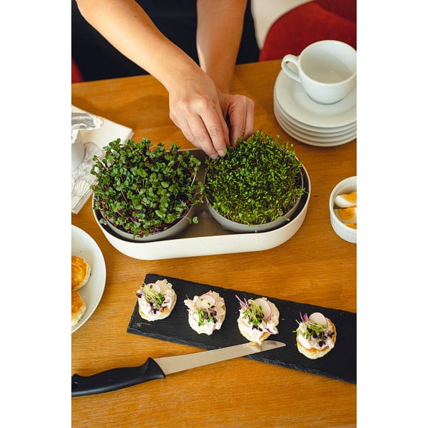 Komplet posod za kaljenje Microgreens & Regrow - Plastia-image-3