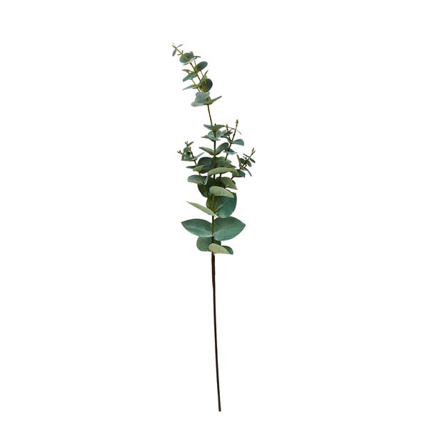 Umetni evkaliptus (višina 71 cm) Kvist – Villa Collection
