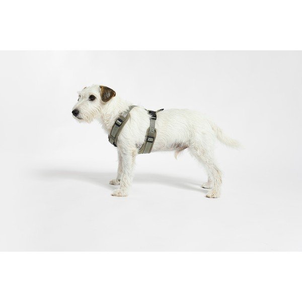 Zelena oprsnica velikosti S dolžina 30 cm Modena Grolive S – MiaCara-image-1