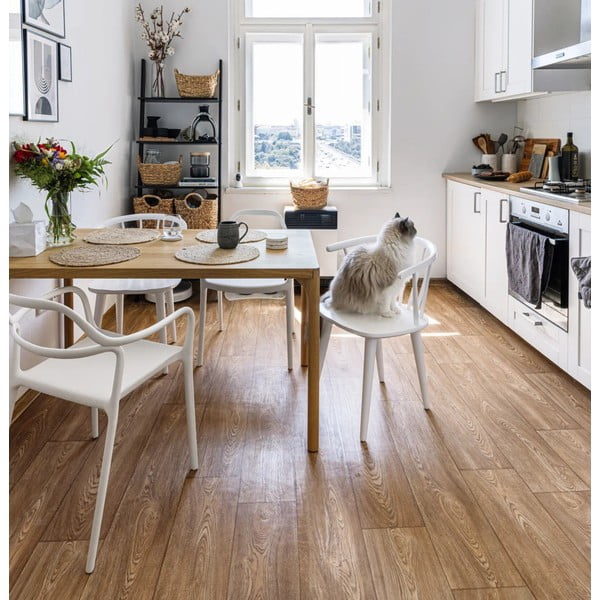 Komplet 2 belih jedilnih stolov Bonami Essentials Dali Chaur-image-1