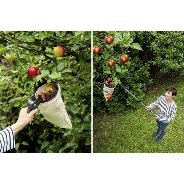 Teleskopski nabiralec sadja - Maximex-image-1