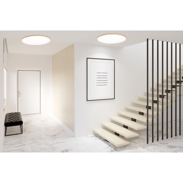 LED stropna svetilka Tens – Candellux Lighting-image-2