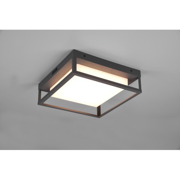 Zunanja stenska svetilka LED (višina 10 cm) Witham - Trio-image-2