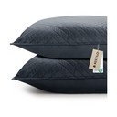 Prevleke za blazino v kompletu 2 ks iz mikrovlaken 50x70 cm Softa – Restilo