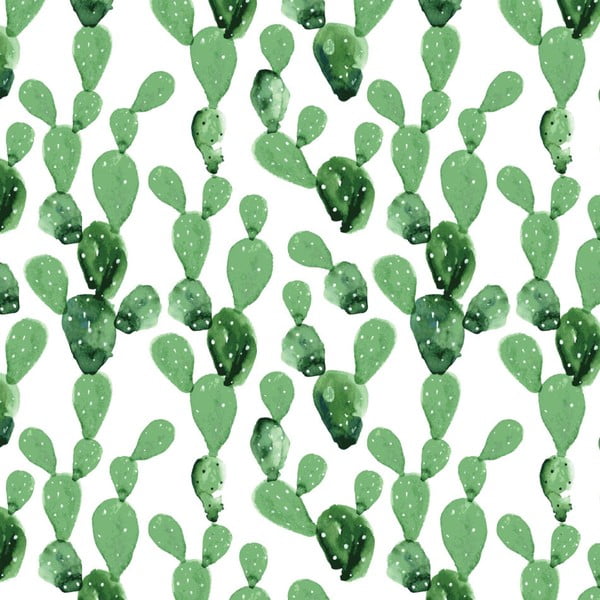 Ozadje Dekornik Cactus, 50 x 280 cm