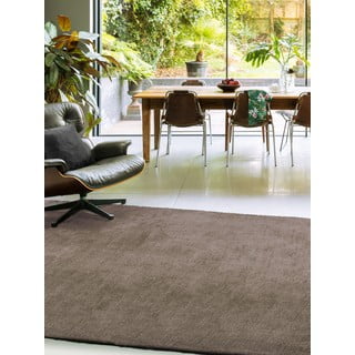 Rjava preproga 120x170 cm Milo – Asiatic Carpets