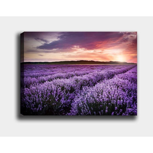 Slika 100x70 cm Lavender Field – Wallity-image-2