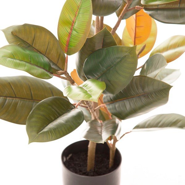 Umetni fikus (višina 90 cm) Ficus – Ixia-image-2