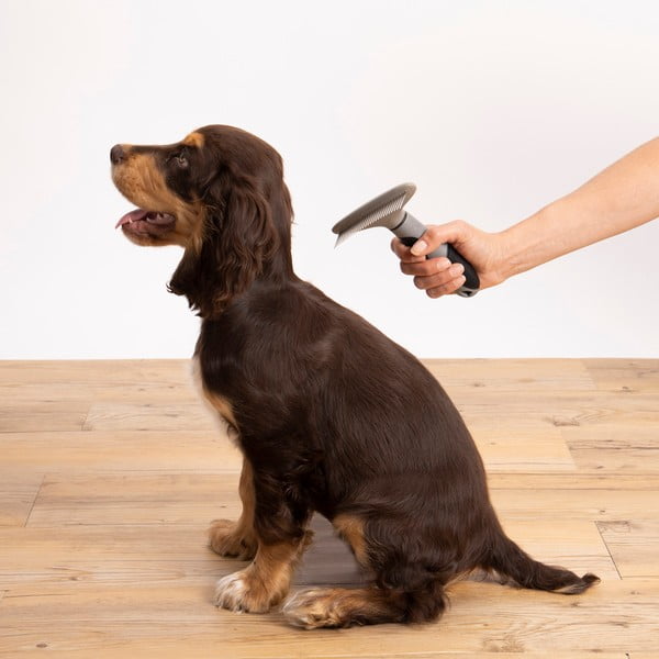 Krtača za hišne ljubljenčke – Love Story-image-1