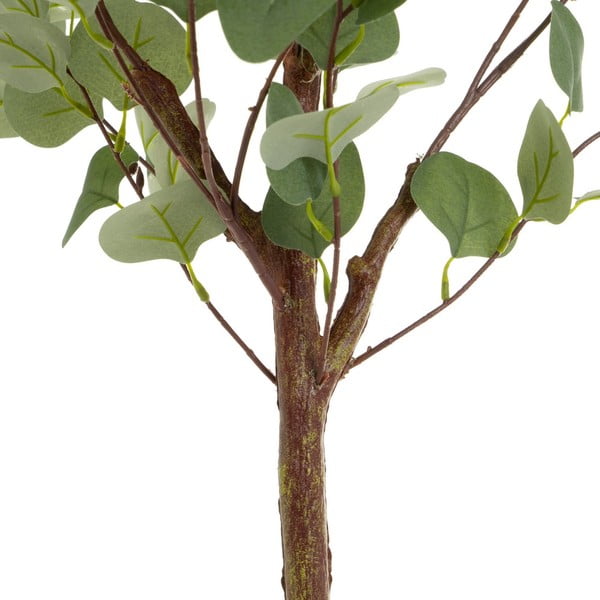 Umetna rastlina Eucalyptus – Casa Selección-image-2