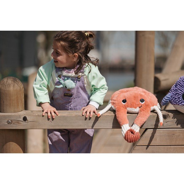 Plišaste igrače v kompletu 2 ks Ptipotos Cassecou – Les Deglingos-image-2