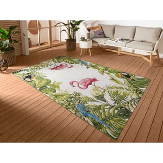 Zunanja preproga 120x180 cm Flair – Hanse Home