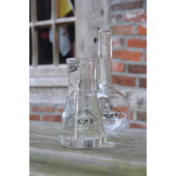 Steklena vaza (višina 23 cm) Natural History – Esschert Design-image-1