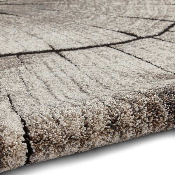 Bež preproga 160x230 cm Woodland – Think Rugs-image-2