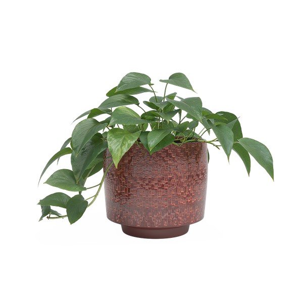 Keramičen ročno poslikan okrasni cvetlični lonec ø 21 cm Minerva – Artevasi