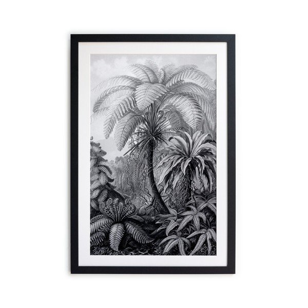 Plakat 40x60 cm Palm - Surdic